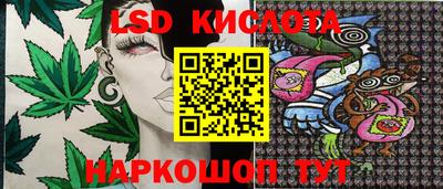 бошки Кингисепп