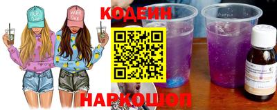 бошки Кингисепп