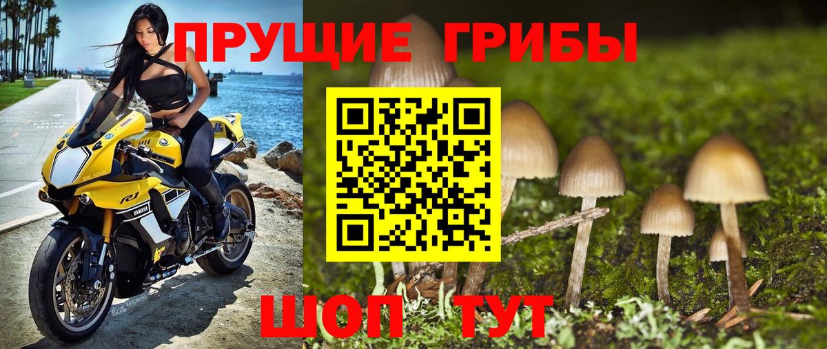 Крымск  Галлюциногенные грибы Psilocybine cubensis  Вход с VPN  Псилоцибиновые грибы MAGIC MUSHROOMS 
